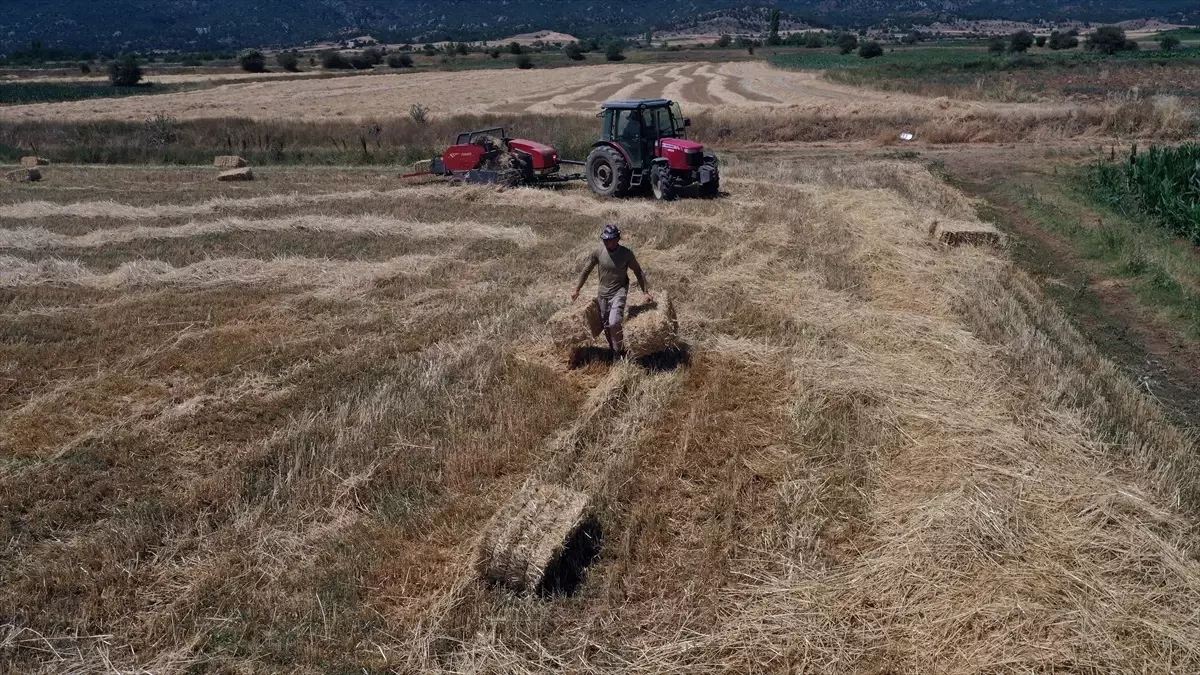 ciftciligi secen universite mezunu cift dWr4GKmw