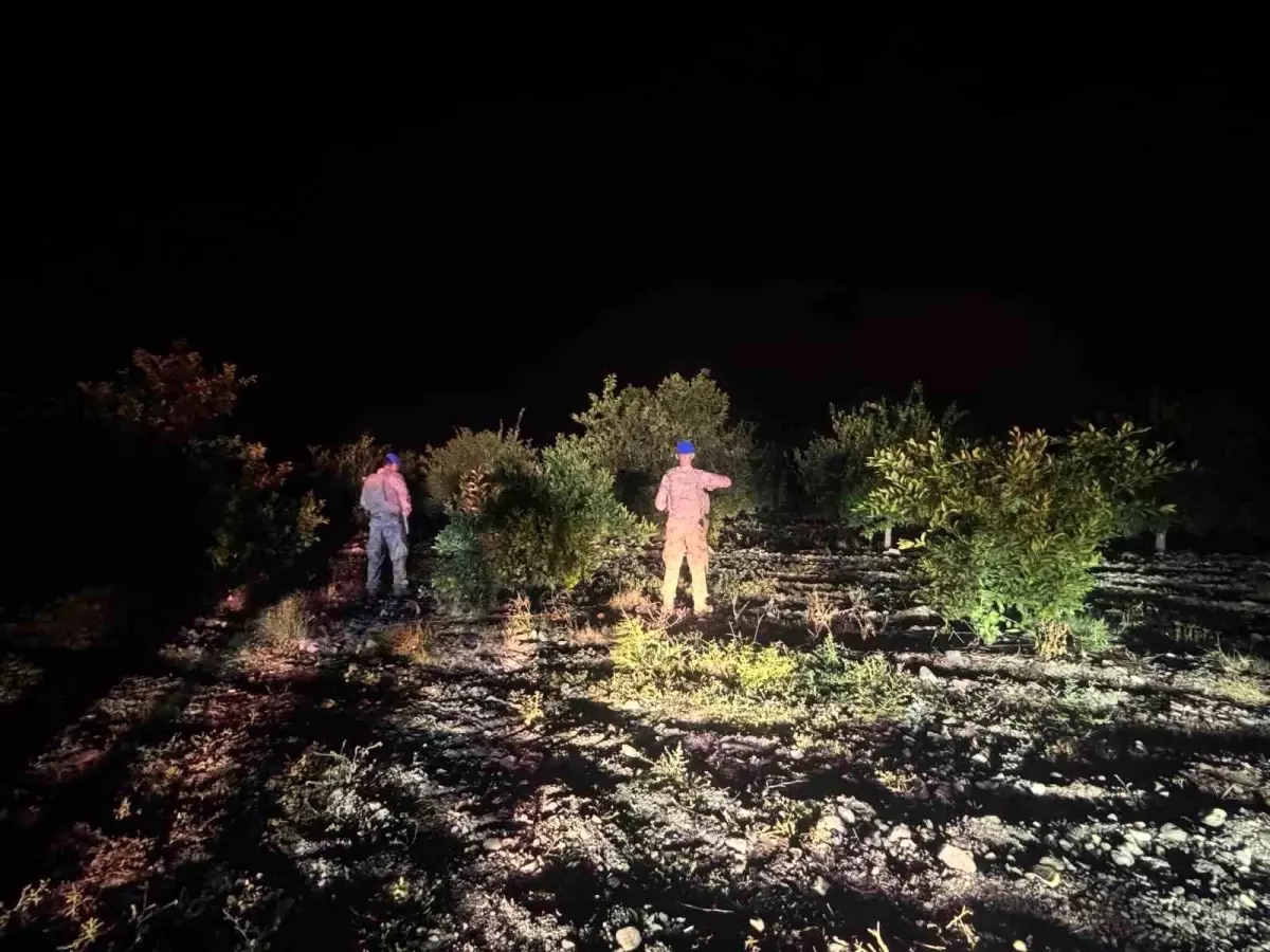 erzinde narenciye hirsizligina karsi guvenlik onlemleri uXeuhhBQ