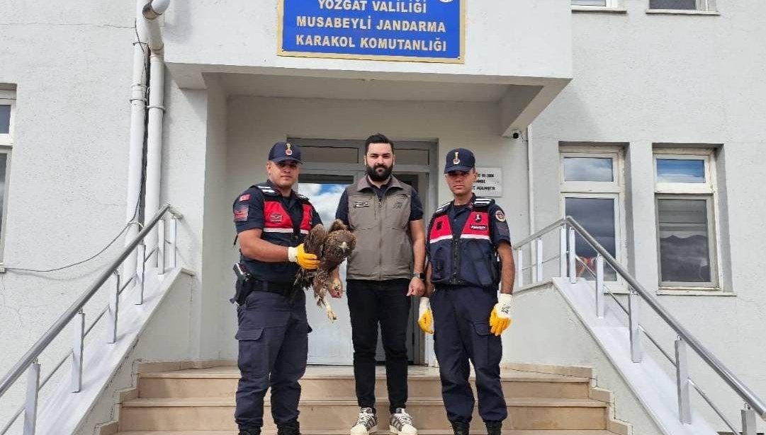 yozgatta yarali bulunan kartal koruma altina alindi y8XBf463
