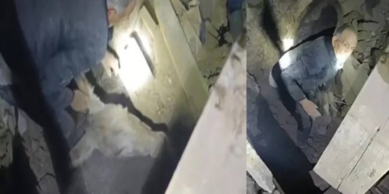 kadife esek depremde yikilan ahirdan kurtarilmisti sahibi dunyalar benim oldu Ffc6wV89.jpg