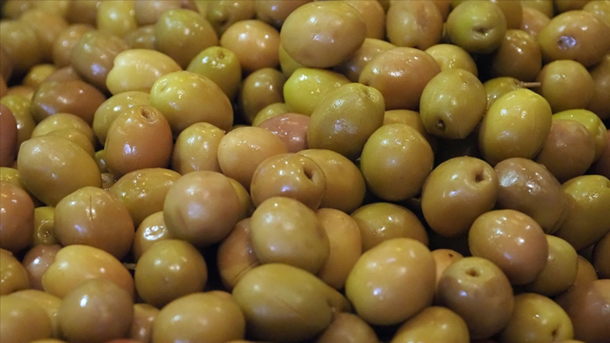 sofralik zeytin ihracatinda tarihi basari 255 milyon dolar nSnrnO6Q