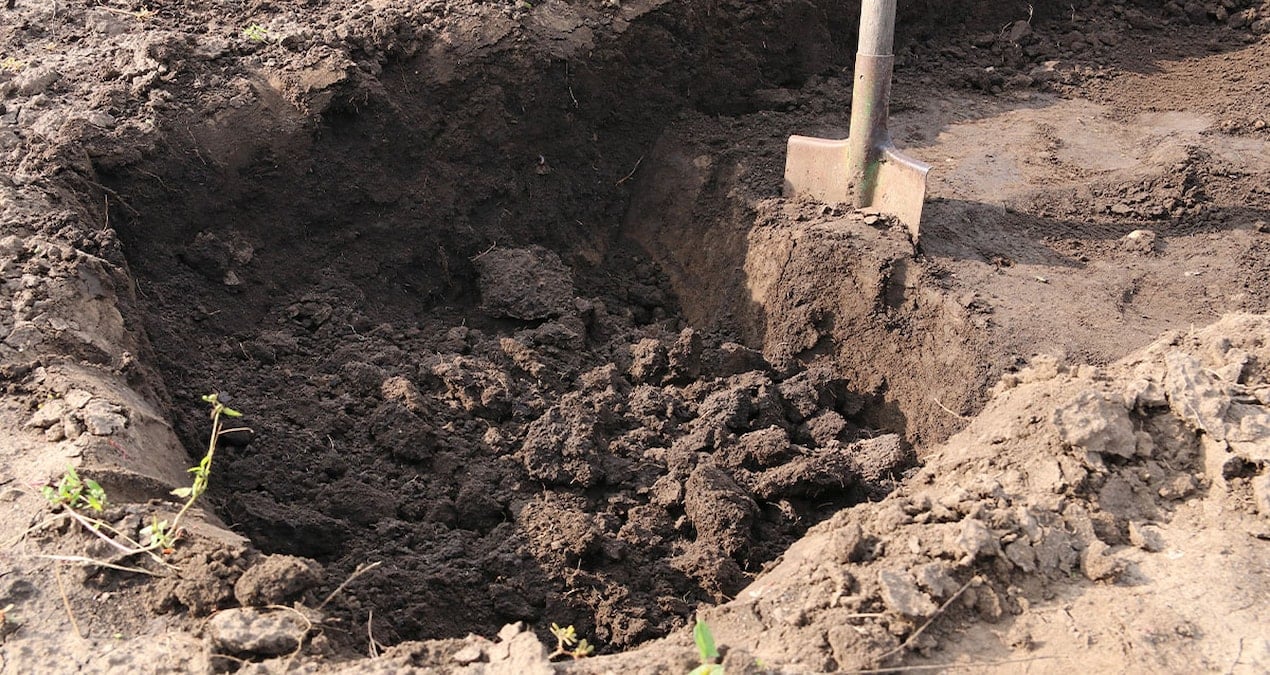 bahcesini kazarken hayati degisti posetleri actikca milyoner oldu pruSAJKu.jpg