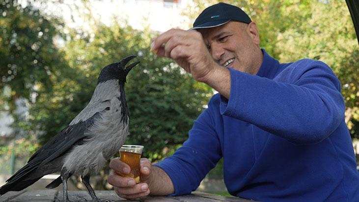 evlat gibi sevdi otobus kaptaninin 25 yildir ayrilmadigi kargasi sakir rize helvasi ve caya bayiliyor eLKjBpfB.jpg