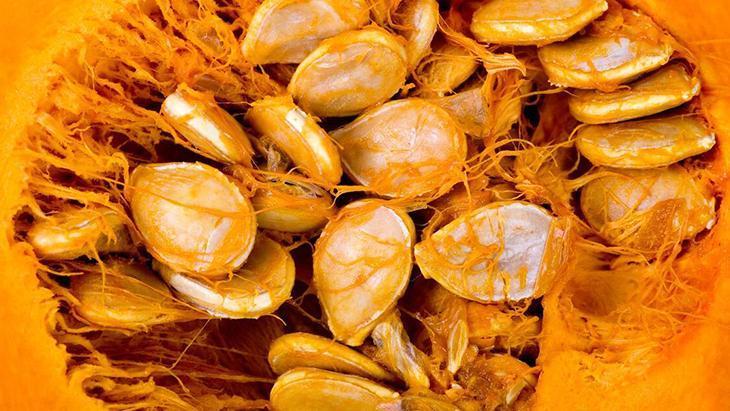 mutfakta sebze dogada meyve a vitamini deposu kavunla ayni aileden bH8BS9ks.jpg