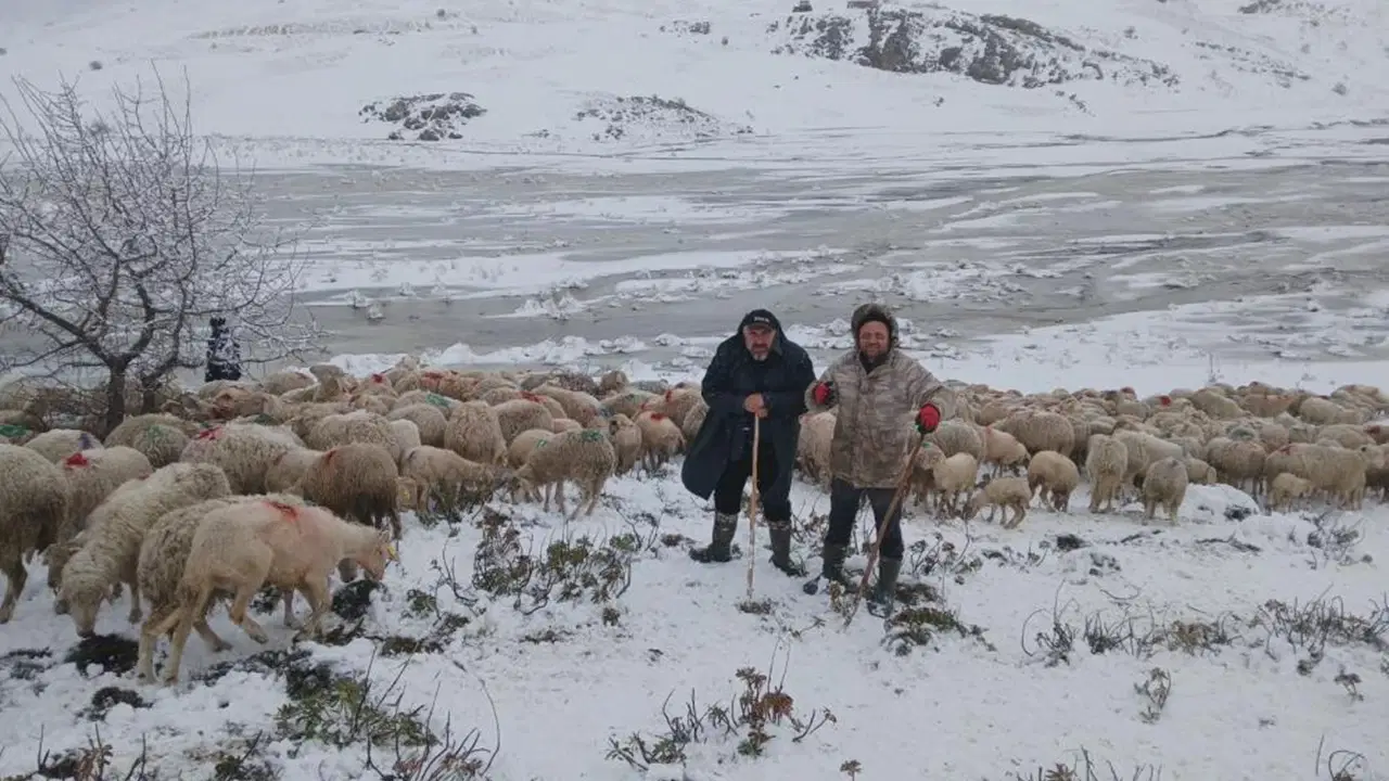 tipi-vurdu-heyelan-yolu-kapatti-2-coban-ve-yaklasik-650-kucukbas-hayvan-yaylada-mahsur-Sslh1VZx